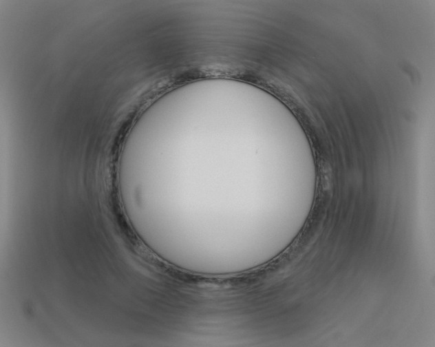 X0000113550690200909181000