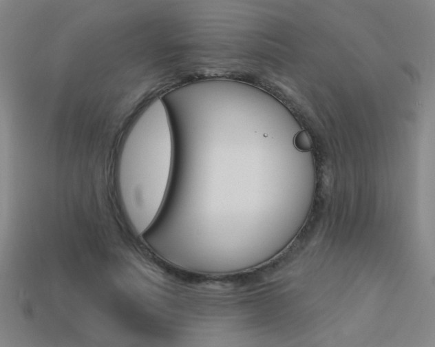 X0000113550691200909181000