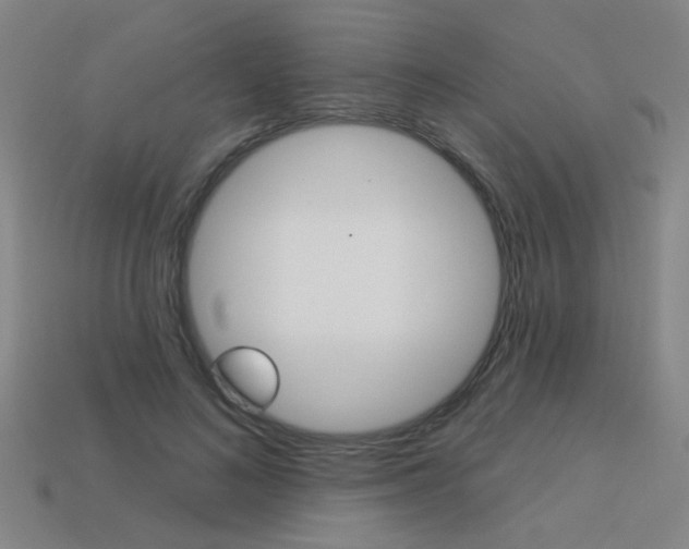 X0000113550692200909180959