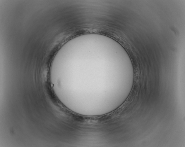 X0000113550694200909180959