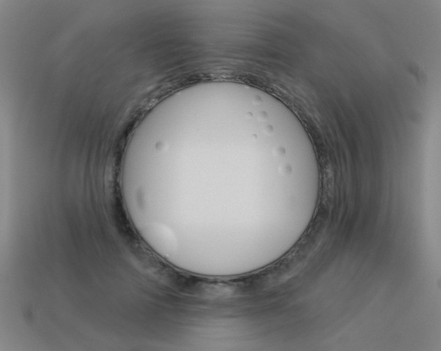 X0000113550698200909180959