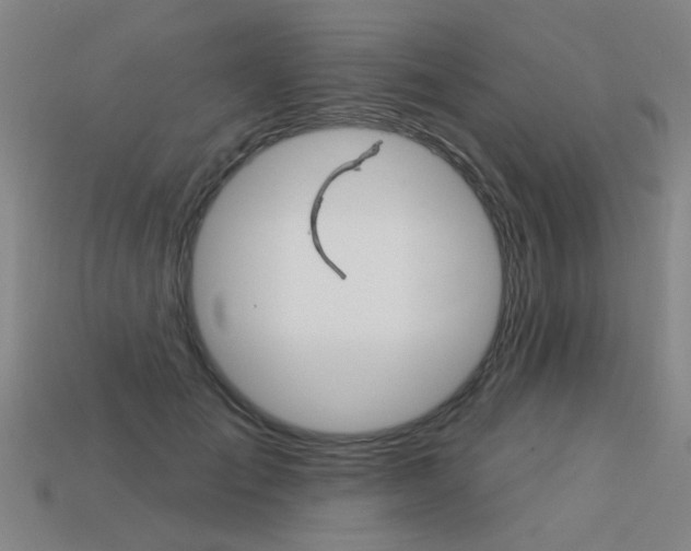 X0000113550701200909180959