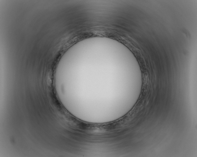 X0000113550702200909180959