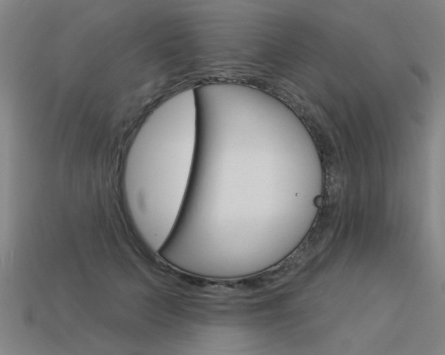 X0000113550703200909180959