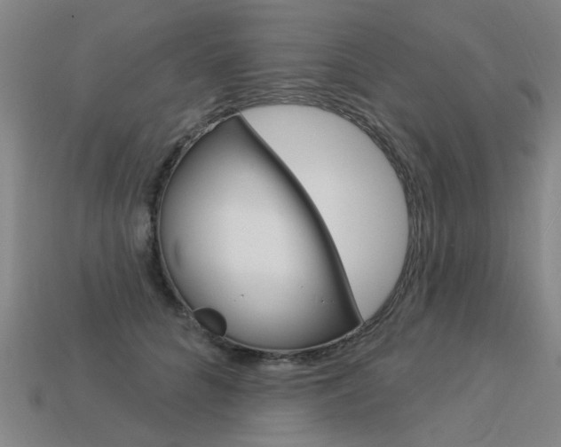 X0000113550704200909180959