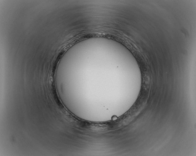 X0000113550707200909180959