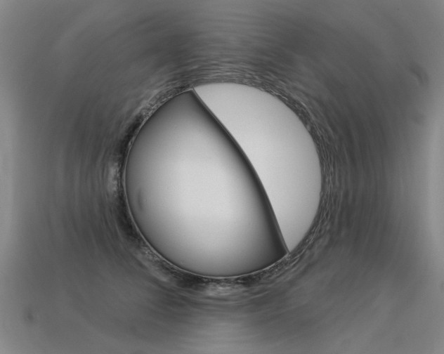 X0000113550708200909180959