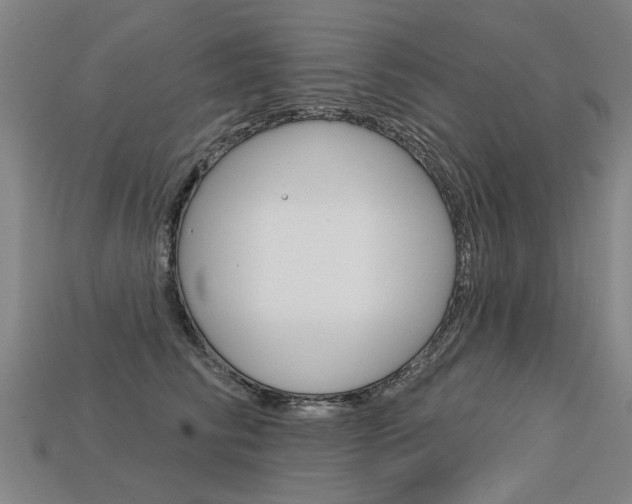 X0000113550710200909180959