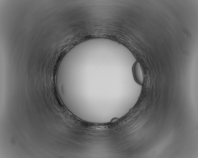 X0000113550711200909180959