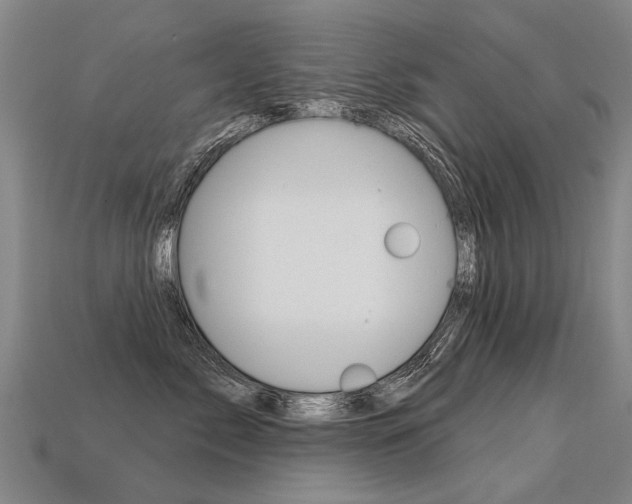 X0000113550717200909180959