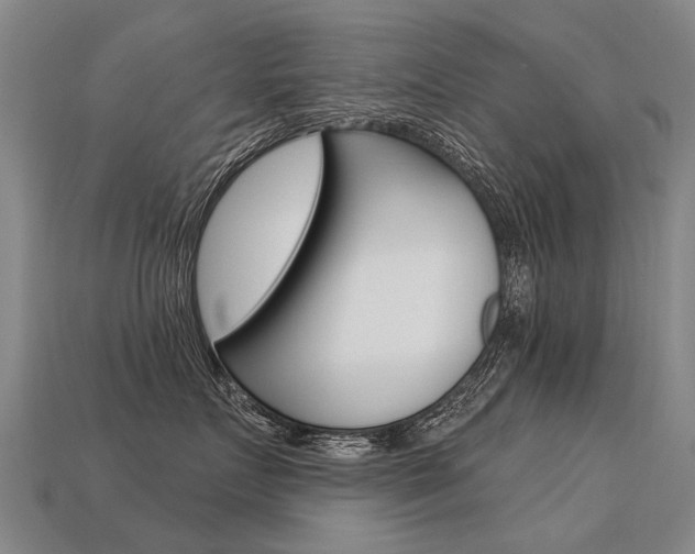 X0000113550719200909180959