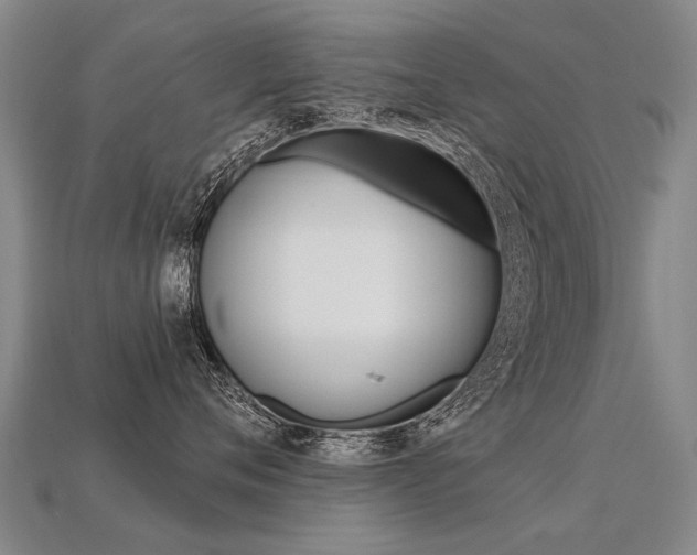 X0000113550720200909180959