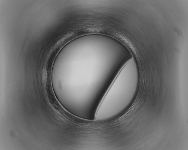 X0000113550722200909180959