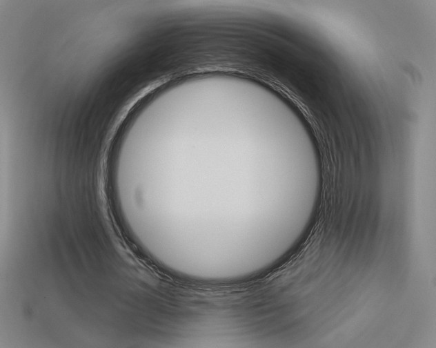 X0000113550724200909180959