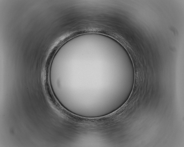 X0000113550726200909180959
