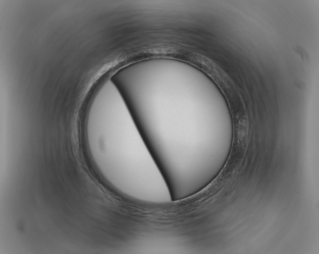 X0000113550727200909180959