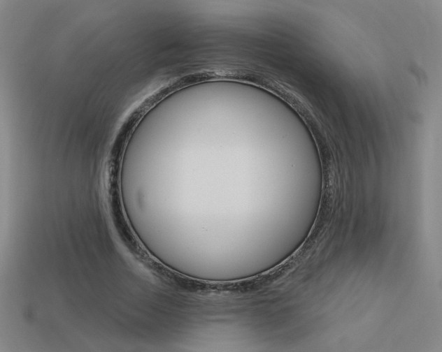 X0000113550730200909180959