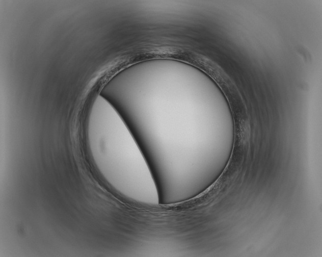 X0000113550731200909180959