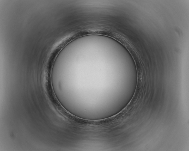 X0000113550732200909180959