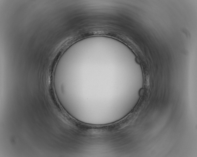X0000113550733200909180959