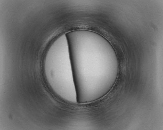 X0000113550735200909180959