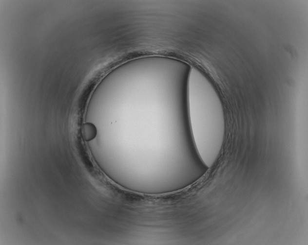 X0000113550736200909180959