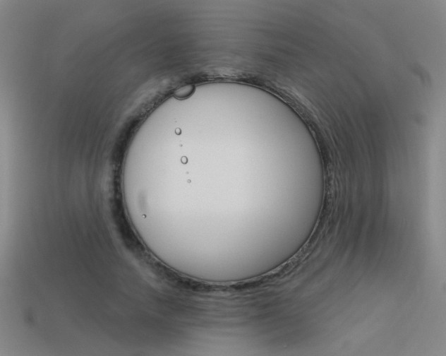 X0000113550738200909180959