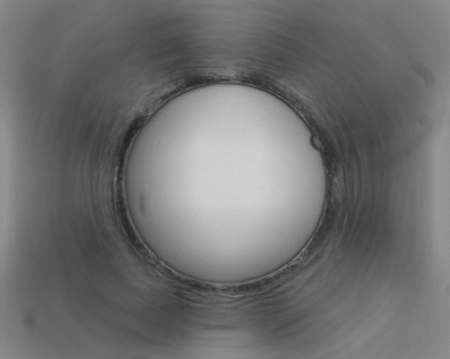 X0000113550739200909180959