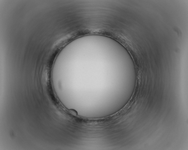 X0000113550740200909180959