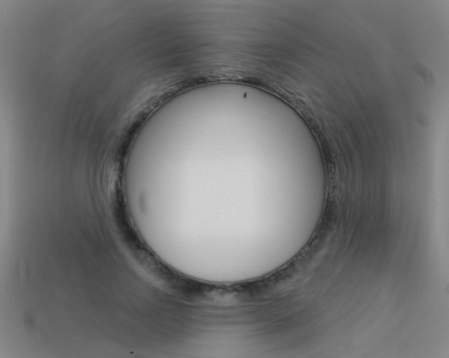 X0000113550742200909180959