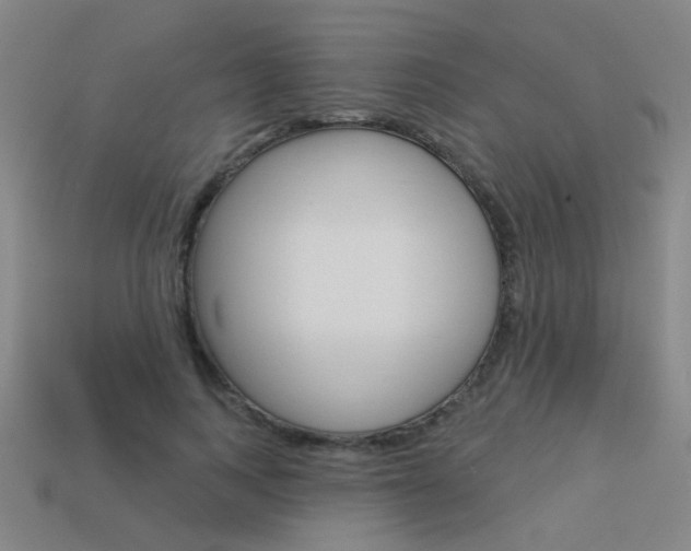 X0000113550743200909180959