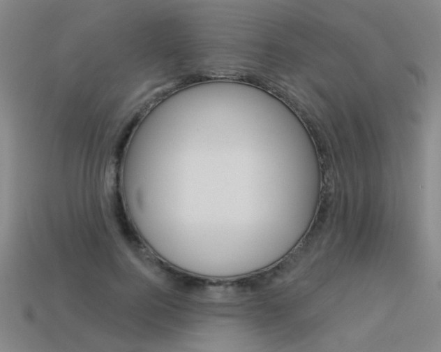 X0000113550744200909180959