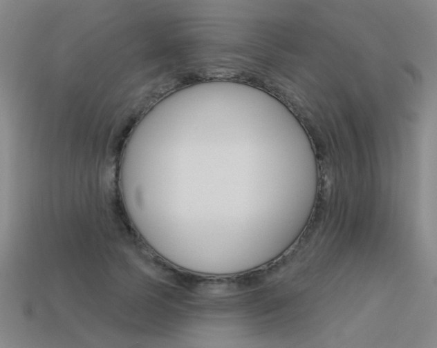 X0000113550745200909180959