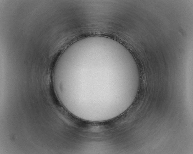 X0000113550746200909180959