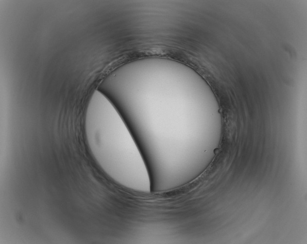X0000113550747200909180959