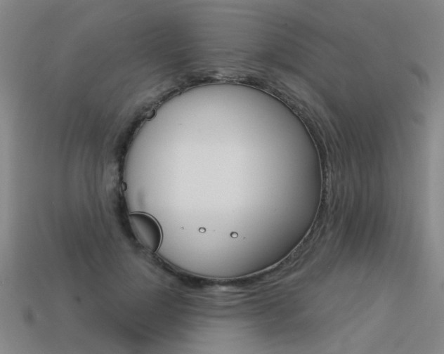 X0000113550748200909180959