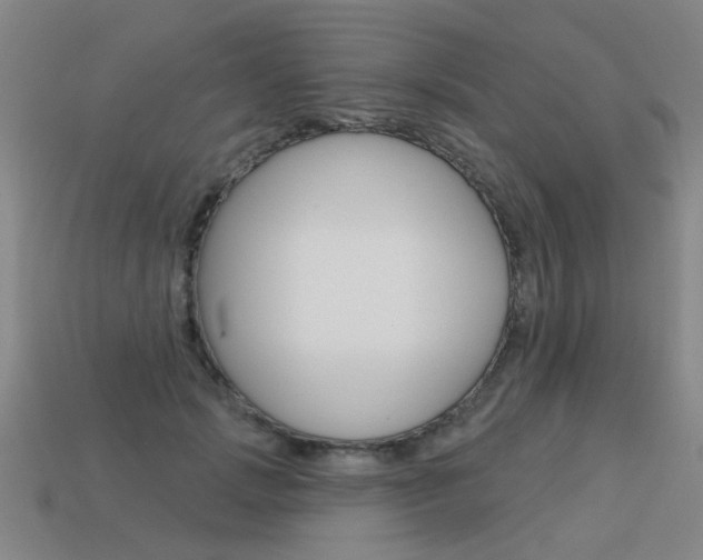 X0000113550749200909180959