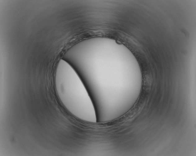 X0000113550751200909180959