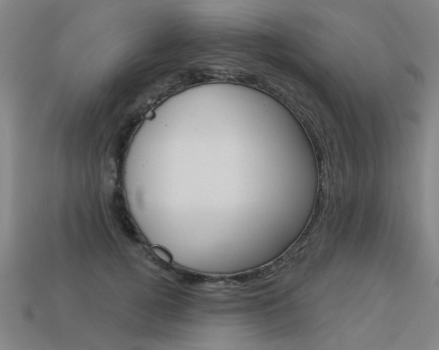 X0000113550752200909180959