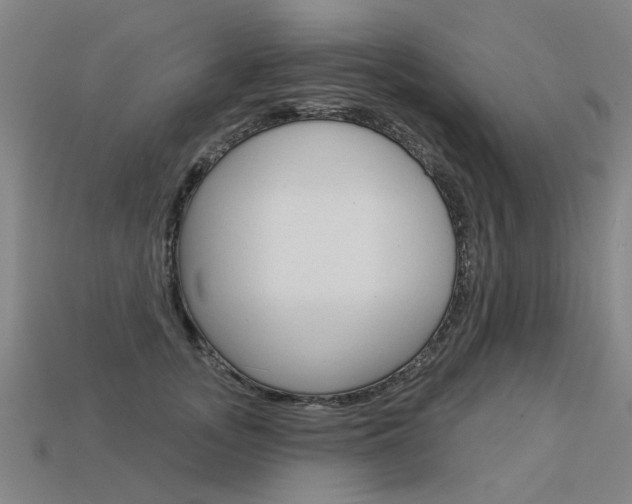 X0000113550755200909180959