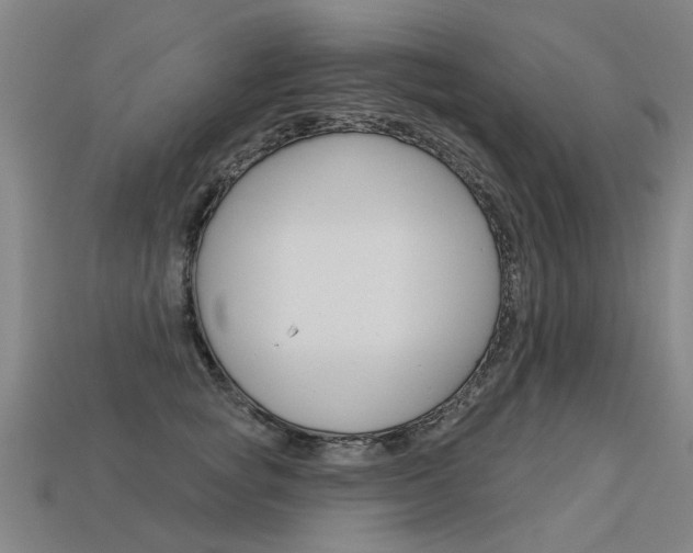 X0000113550757200909180959