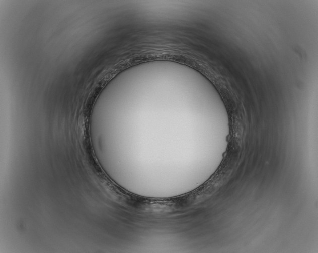 X0000113550758200909180959