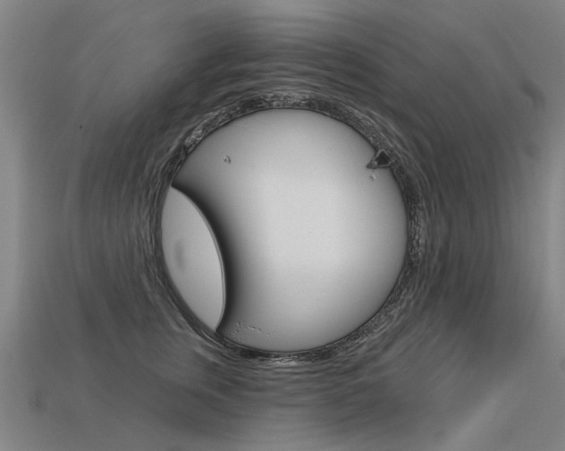 X0000113550759200909180959