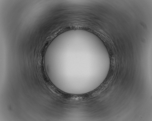 X0000113550760200909180959