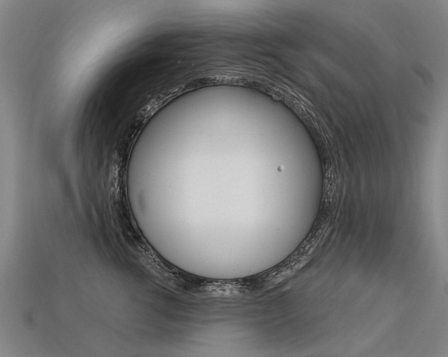 X0000113550762200909180959