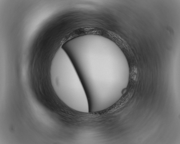 X0000113550763200909180959