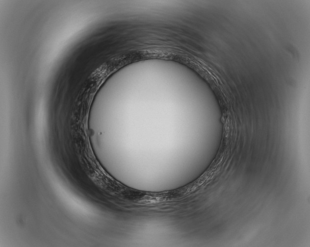 X0000113550764200909180959