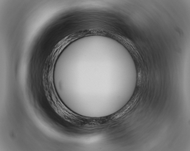 X0000113550765200909180959
