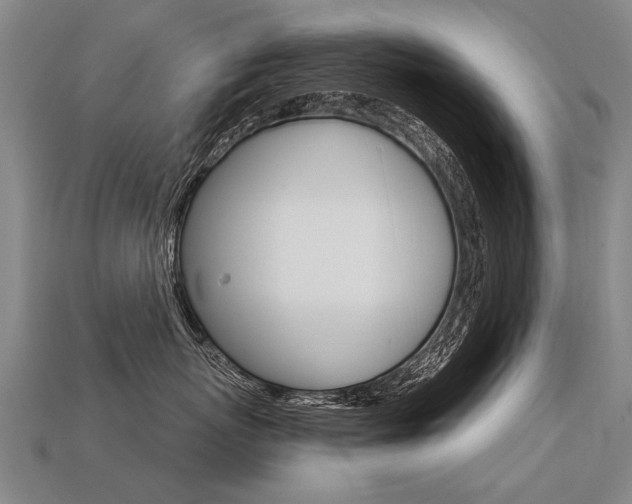 X0000113550767200909180959