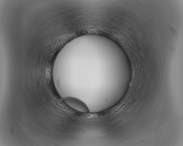 X0000113550768200909180959